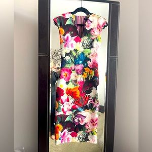 Ted Baker below the knee dress.